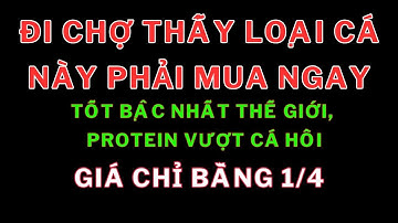 Đi chợ thấy loại cá này phải mua ngay: Tốt bậc nhất thế giới, protein vượt cá hồi giá chỉ bằng 1/4