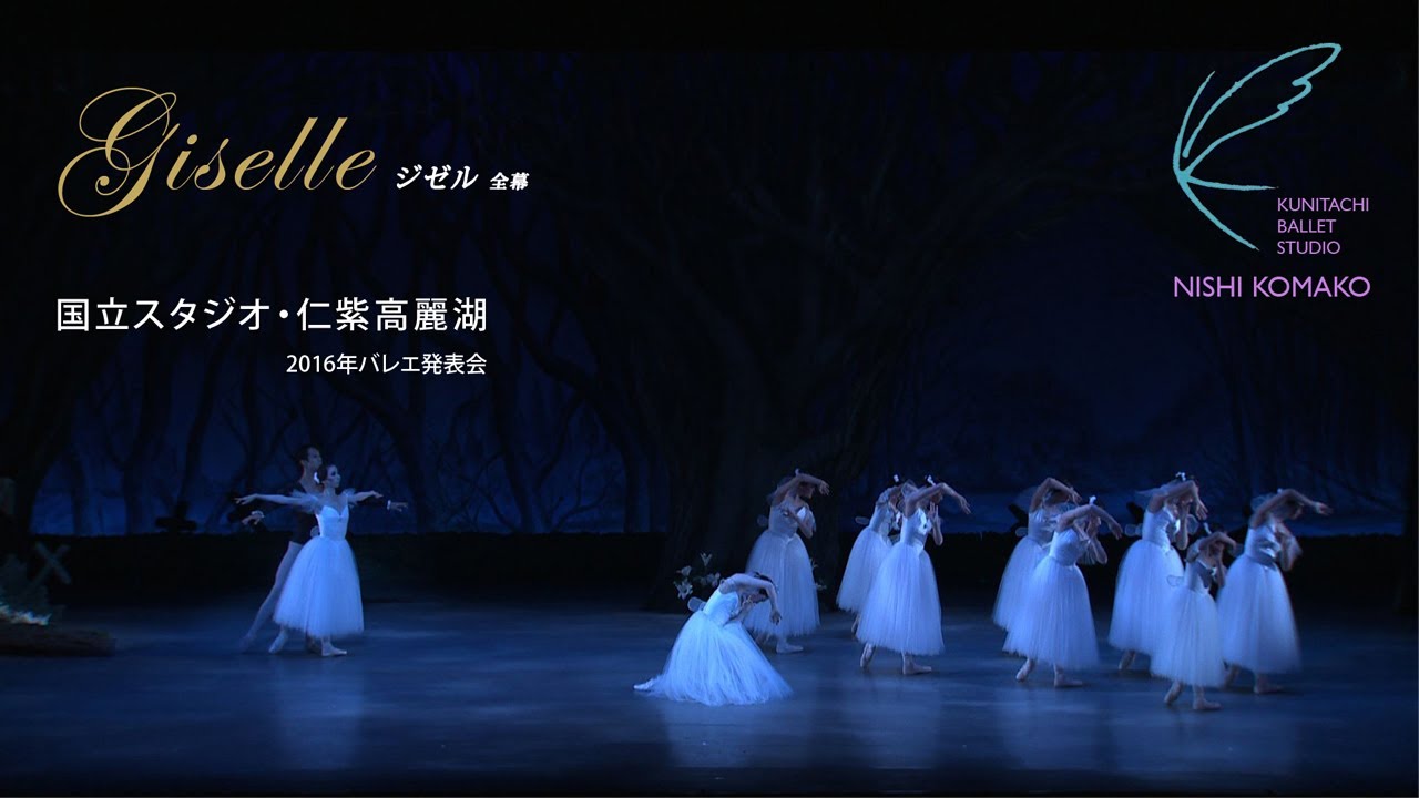 ジゼル-バレエ衣装 紫色 ドレス バレエ衣装手作り一点物 村娘7号
