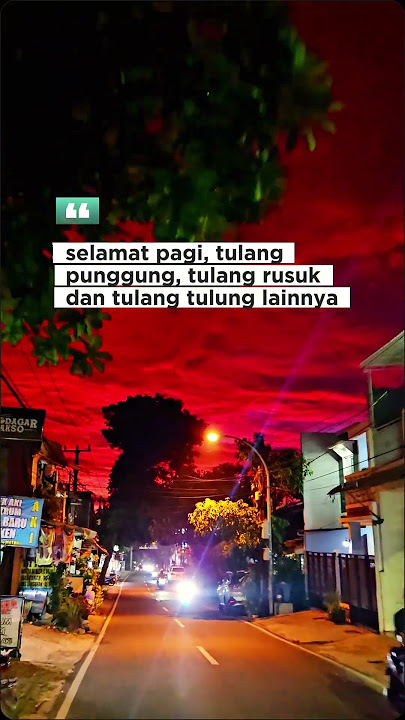 Pagi yang indah #katakatabijak #katakatamotivasi #katakatamutiara