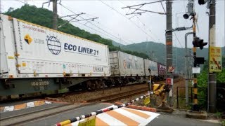 JR貨物 EF200-15号機[吹](代走)+コキ26B　貨物列車1056レ【爆走＆白エコUV47Aコンテナ積載!!】
