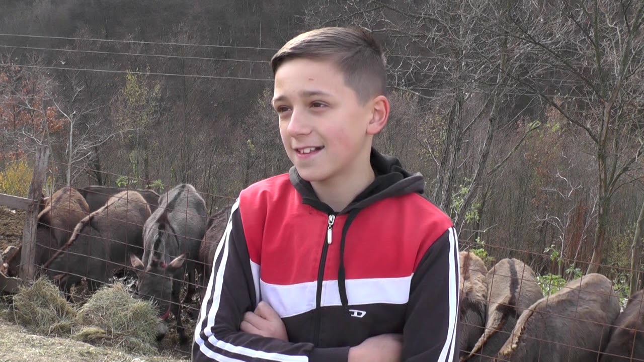 PORODICA DZINDO VLASENICA FARMA MAGARICA