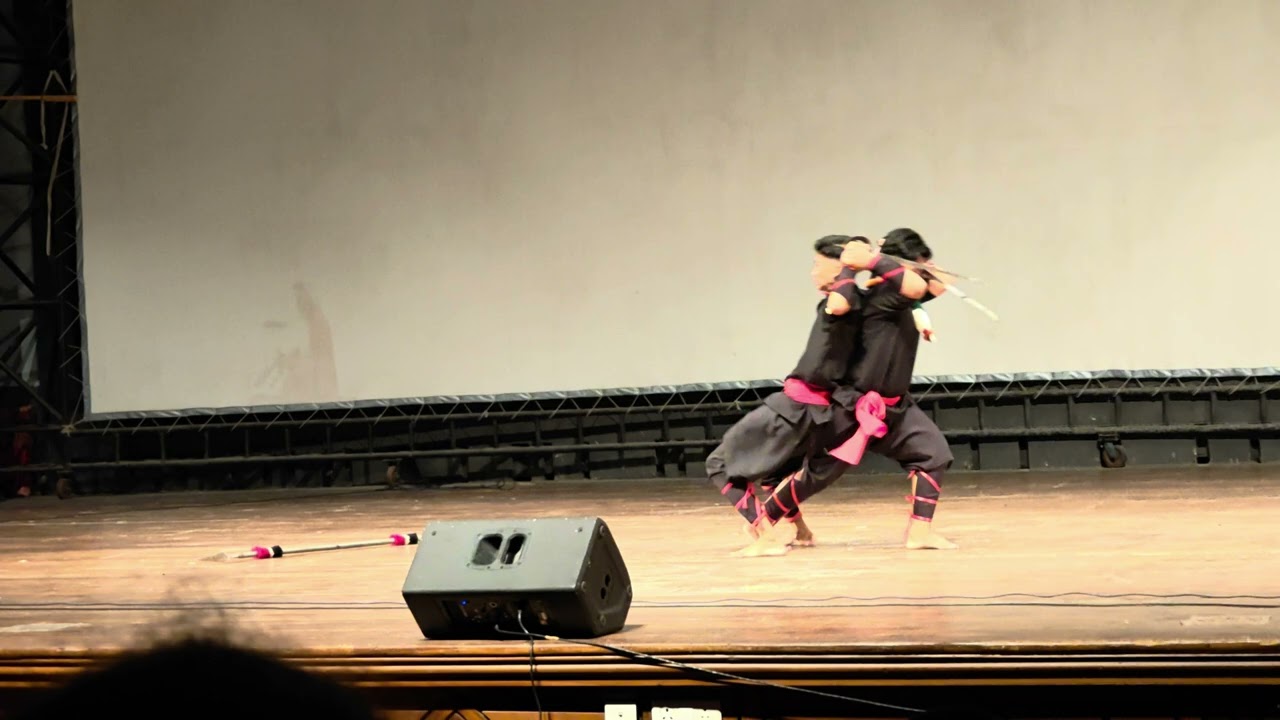 Manipuri martial arts performed at IIT Guwahati. One to One. Part 2
