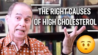 88 The Right Causes Of High Cholesterol