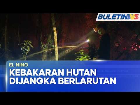 EL NINO | Indonesia Jangka Risiko Kebakaran Hutan Berterusan Hingga Awal Oktober (BU)