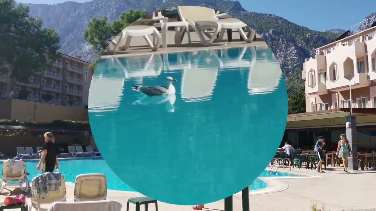 Турция. Кемер. Отель Alexius Beach Hotel4*