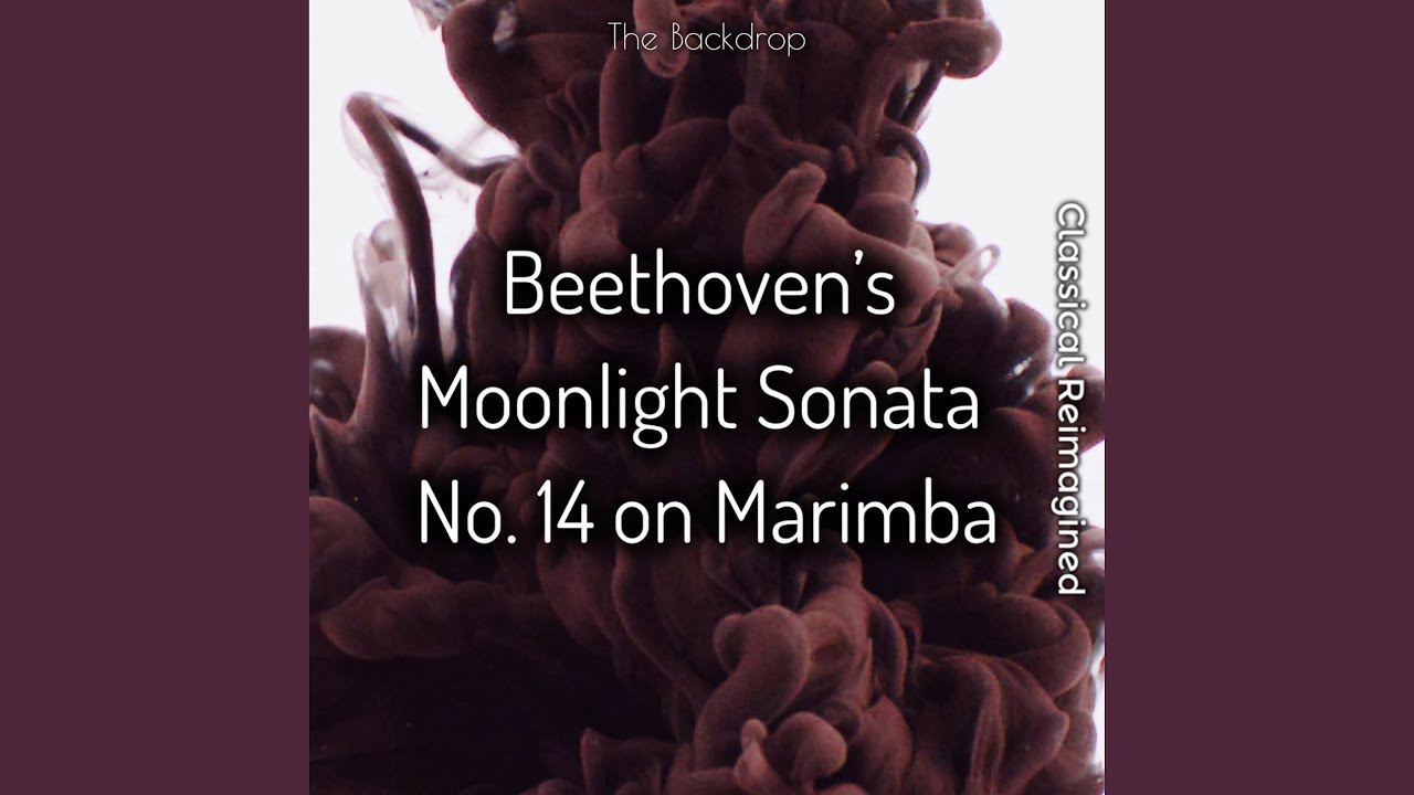 Beethoven's Moonlight Sonata No. 14 on Marimba