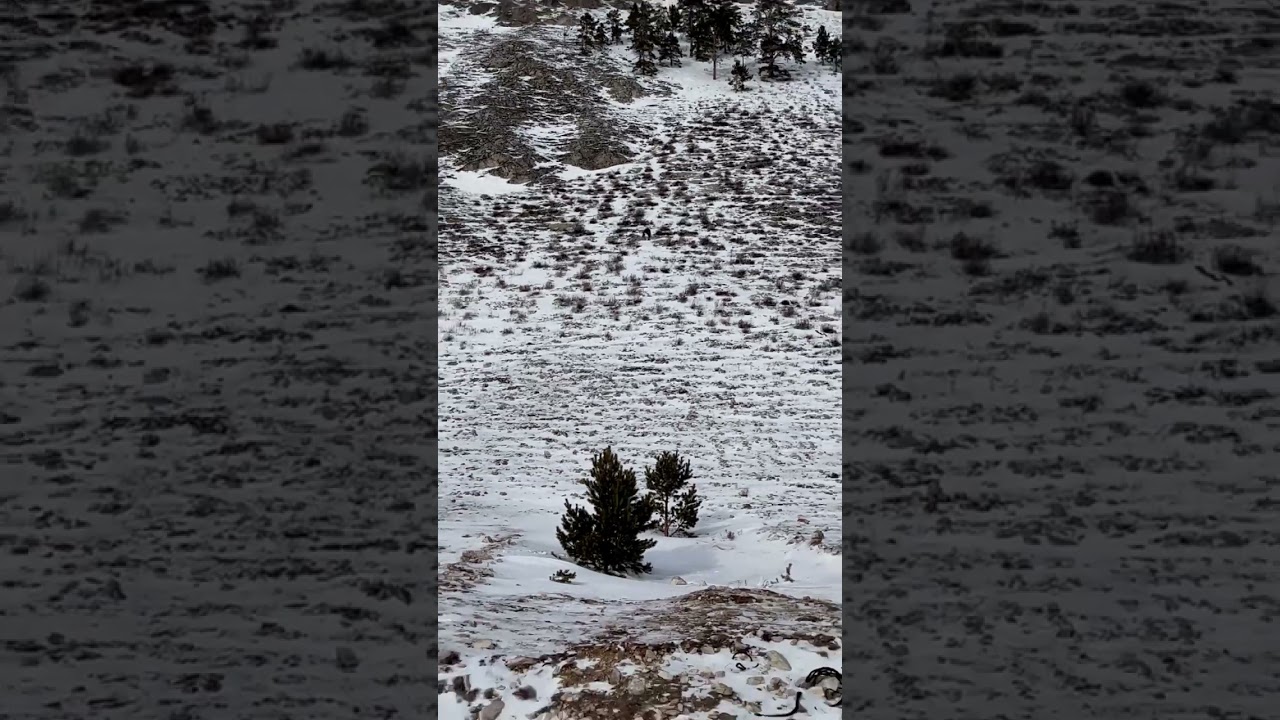 Нормальные Алексеи...😂🦸🦿🧌. 