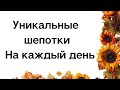 Магия слова. Уникальные шепотки на каждый день.