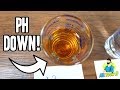 PH GERMINATION EXPERIMENT! - GERMINATING CANNABIS SEEDS - WILL IT GERMINATE?