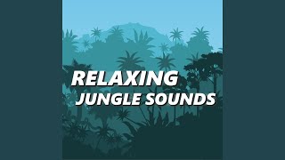 Download Lagu Alluring Jungle Sounds