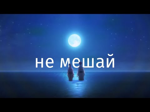 文アル 『amv』