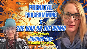 Prenatal Programming & The War on the Womb with Jaymee Jay
