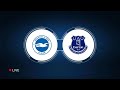 Brighton & Hove Albion vs Everton Live Update #premierleague #everton #live