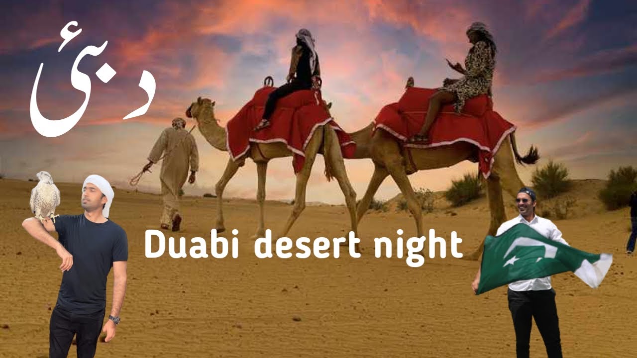 Dubai desert night club || Dubai safari