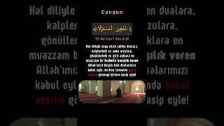 Allah'ı Tanıyoruz - Cevşen 14 #islam #zikir #dua #marifet