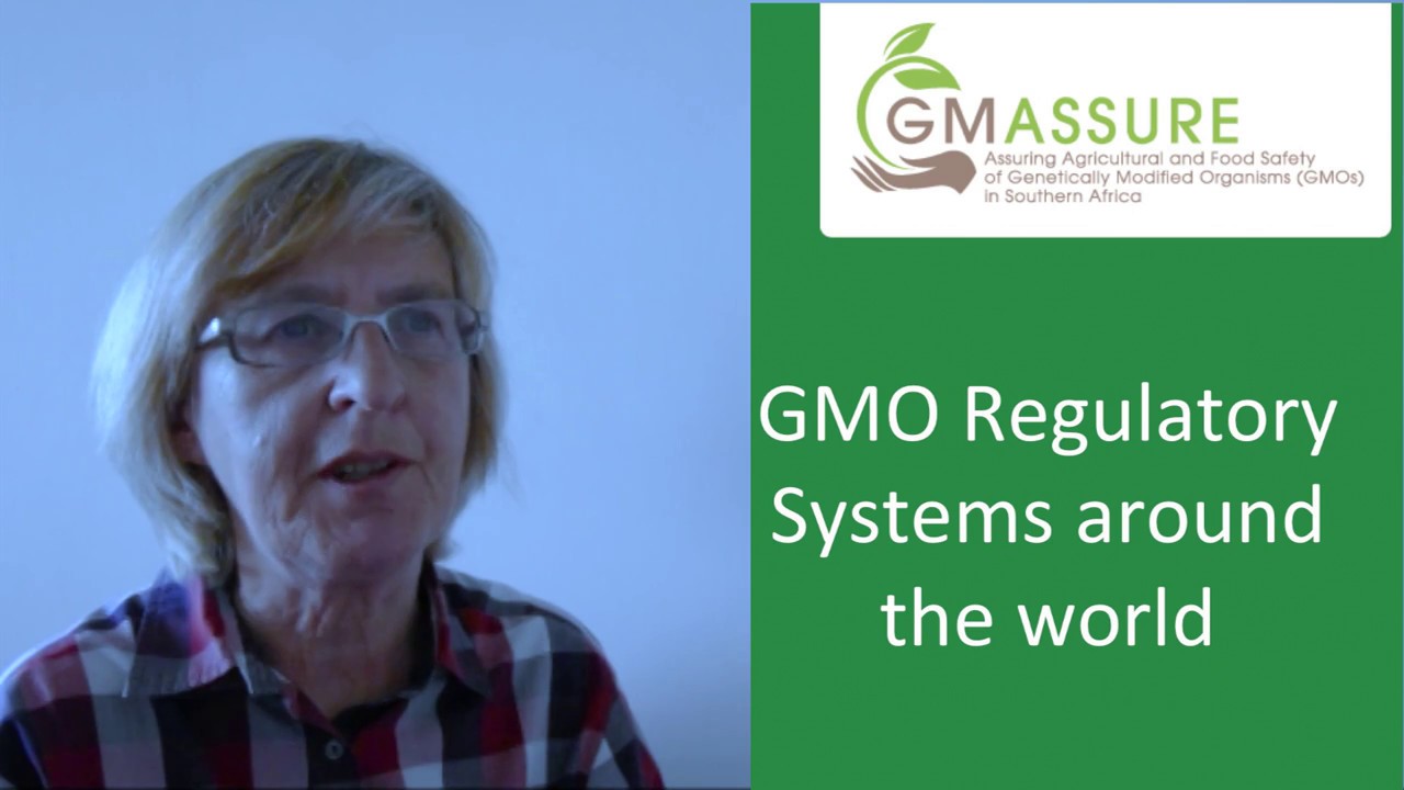 13. Regulatory Systems Around The World And Implication For New Breeding Techniques
