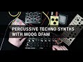 Percussive techno synths with moog dfam  riemann studio trick 016