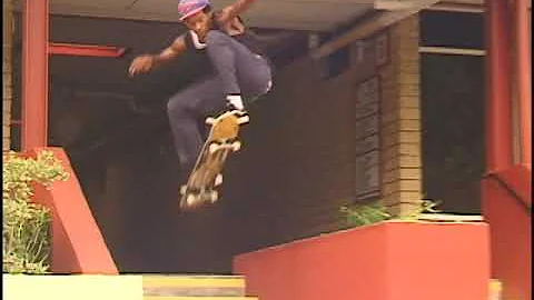 Dominique Jenkins VX