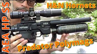 Feeding My AEA HP SS Some H&N Hornets And Predator Polymags: How Many Shots From 4500 PSI Fill?
