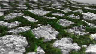 FiberFX  grass and rocks - Lightwave3D - 60fps Guide