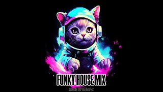 Best Funky House Mix 2024 | #10 | Greatest Funky & Disco Remixes #funkyhouse #housemusic #disco