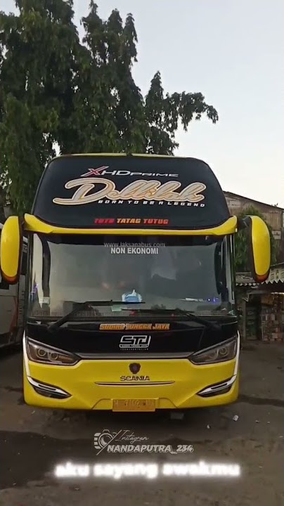 Story WA bus STJ DELLILAH