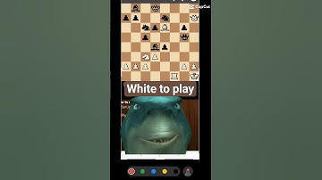 Only Geniuses Solve This Chess Puzzle!