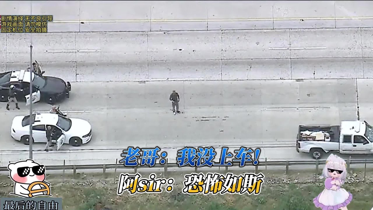 什么？这居然是九星大佬？？？？