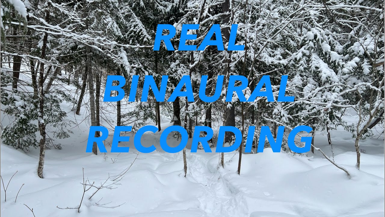 REAL BINAURAL Walk on Snow in the Forest 3D Audio
