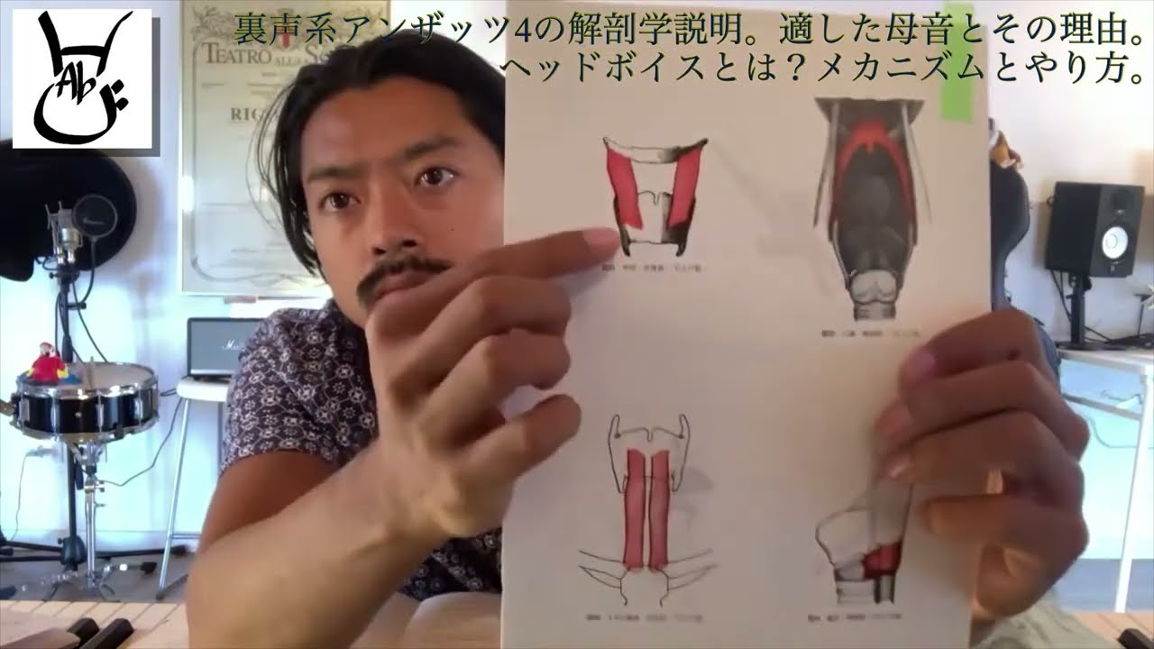 ベルカントで声を治す。裏声系アンザッツで大事なアンザッツ4の詳しい説明とヘッドボイスとの関係性。