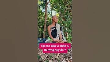 Tại sao các vị chân tu thường quy ẩn ? Sư Minh Tuệ trả lời