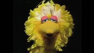 Classic Sesame Street  The Count Counts Feathers Part 2