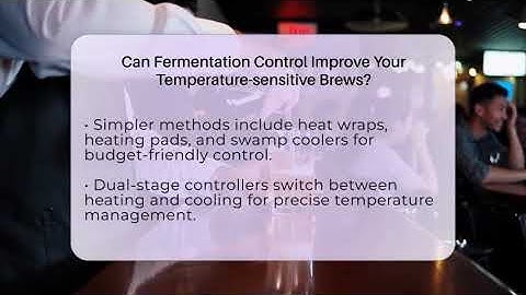 Can Fermentation Control Improve Your Temperature-sensitive Brews? - The Pint Guy