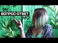 Вопрос-ответ с пальмой #2 | Песни, персонажи и критика ~