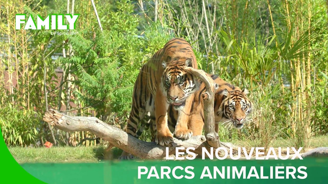 Nouveaux zoos en France : la guerre est déclarée