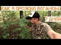 КАК Я ПРОЖИЛ ВЕГАНОМ 7 ДНЕЙ