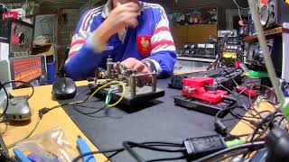 3B8HH - F8DGY BUGS KEYS  28MHZ