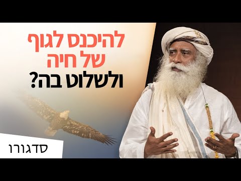 וִידֵאוֹ: האם שמאניזם הוא מילה?