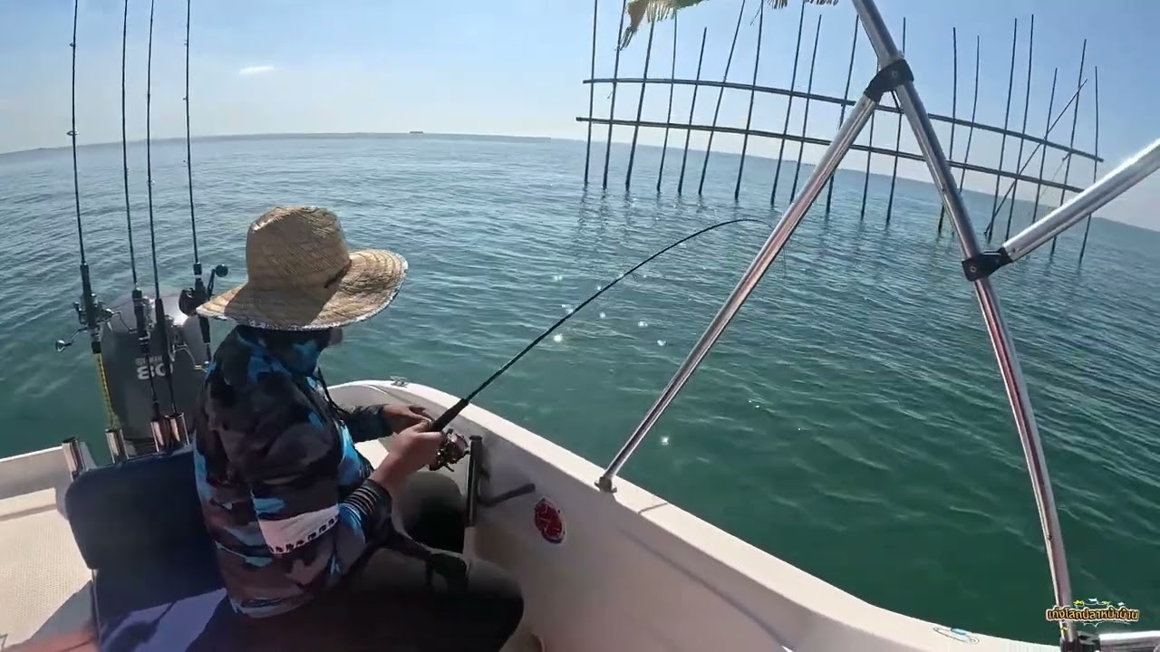 ตกกุเราปีกโป๊ะ พอได้ทอดครับ