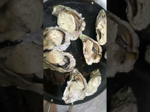 Cookingwithbsd BSD Fyp Cheesygarlicoysters Oysters Garlic Chesse Foodie Seafoodlovers