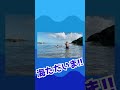 海ただいま〜！！！ #Shorts