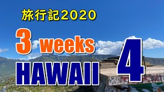 【4K】ハワイ旅行記2020＃4：ホノルルキッチンのチャーハンに感動とフードパントリーが無いと不便なワイキキ