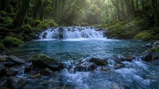 Continuous Relaxation Soft River Flow for Anxiety Relief and Daily Meditation