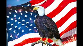 American Flag & Bald Eagle | United States National Anthem Instrumental | 4K Patriotic Video