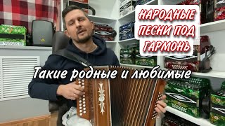 Такие родные и любимые народные песни под гармонь