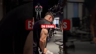 Les Meilleurs Exercices Pour Développer Des Triceps