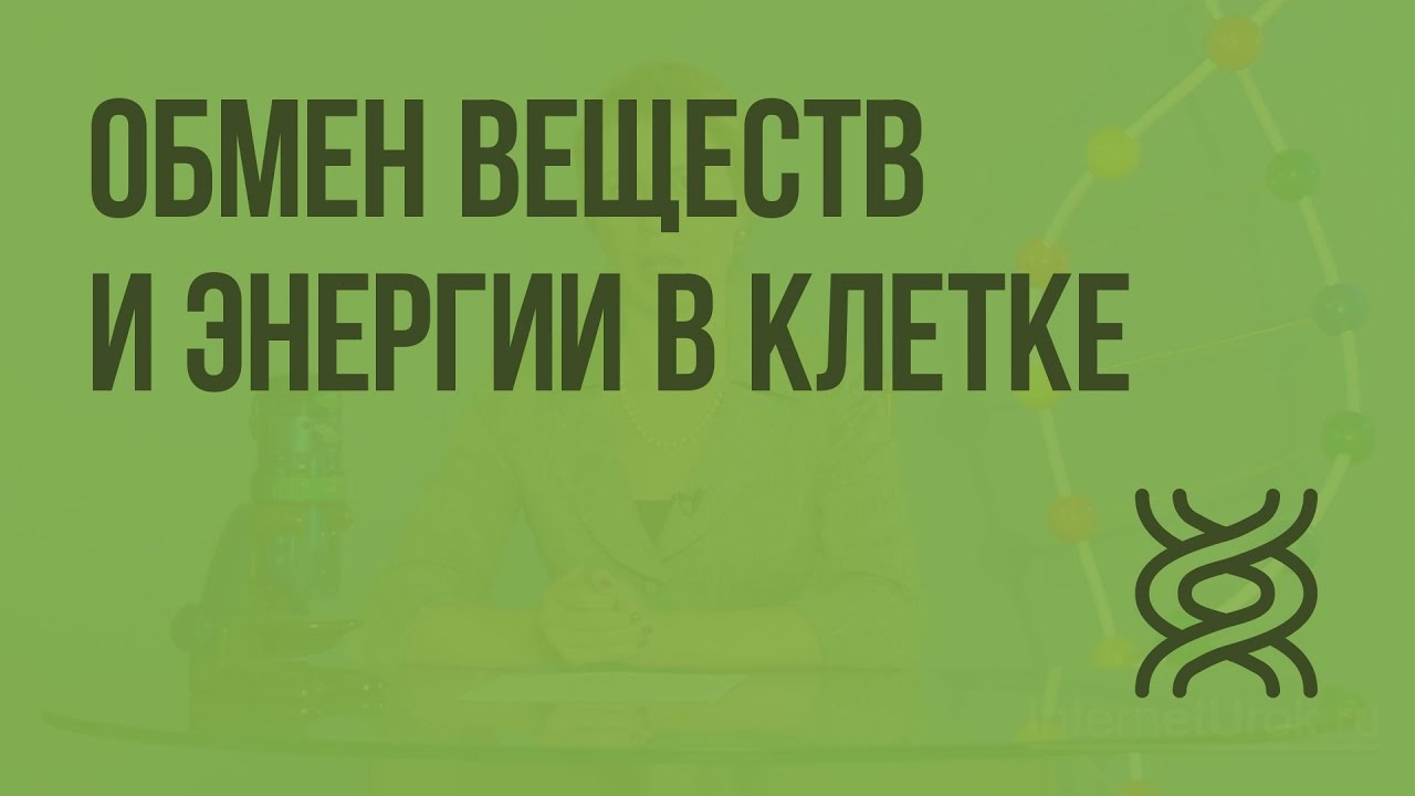 Контрольная работа по теме Обмен веществ