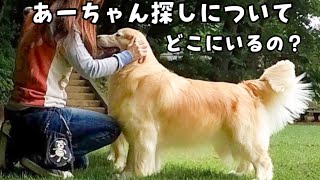 あーちゃん探しについてブツブツと独り言