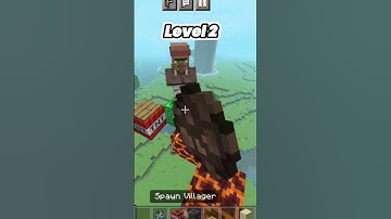 Vindicator IQ test in Minecraft World