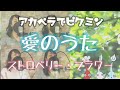 【アカペラでピクミン】♪愛のうた/ストロベリー・フラワー【NintendoSwitch】